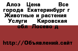 Алоэ › Цена ­ 150 - Все города, Екатеринбург г. Животные и растения » Услуги   . Кировская обл.,Лосево д.